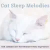 Cat Sleep Melodies: Soft Lullabies for the Ultimate Feline Experience album lyrics, reviews, download