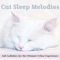 Moonlit Night - Cat Music Dreams, Cat Music Therapy & RelaxMyCat lyrics