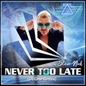 Never Too Late (Remix) artwork