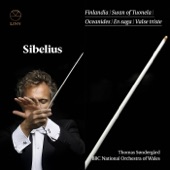 Sibelius: Finlandia artwork
