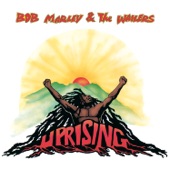 Bob Marley & The Wailers - Could You Be Loved