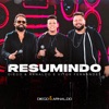 Resumindo - Ao Vivo by Diego & Arnaldo, Vitor Fernandes iTunes Track 1