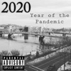 2020: Year of the Pandemic