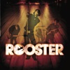 Rooster - Staring at the Sun