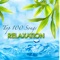 Meditation Music - Liquid Relaxation lyrics