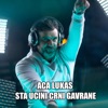 Sta Ucini Crni Gavrane - Single