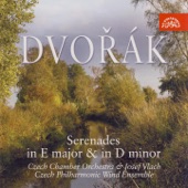 Serenade for Strings in E Major, Op. 22, B. 52: I. Moderato artwork