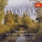 Serenade for Strings in E Major, Op. 22, B. 52: I. Moderato artwork