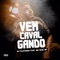 Vem Cavalgando (feat. Mc Nem Jm) - Dj Felipinho lyrics