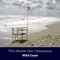 Wild Coast - Wacker & Zittrich lyrics