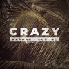 Crazy (feat. Dub Inc) - Single