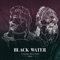 Black Water (feat. Steve Earle) artwork
