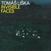 Invisible Faces (feat. David Dorůžka, Nikola Zarič, Efe Turumtay & Kamil Slezák) artwork