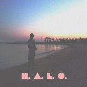 H.A.L.O artwork