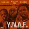 Y.N.A.F. (feat. Rexx Life Raj & Cash Kidd) - Single album lyrics, reviews, download