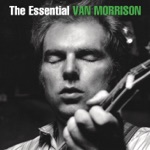 Van Morrison - Warm Love