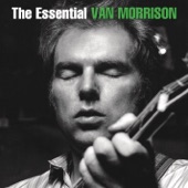 Van Morrison - Cleaning Windows (Live)