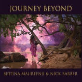 Journey Beyond (feat. Nick Barber) artwork