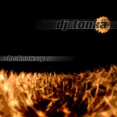 She Knows You (Club Mix) artwork
