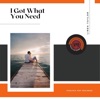 I Got What You Need - Single