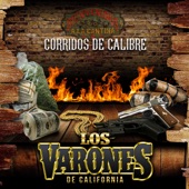 Corridos De Calibre artwork
