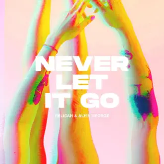 Never Let It Go (Extended Mix) by Relicah & Alfie George song reviws