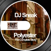 Polyester (The Complete Story) artwork