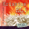 Krisztus él (feat. Csiszér László) [Élő dicsőítés]