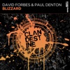 David Forbes - Blizzard