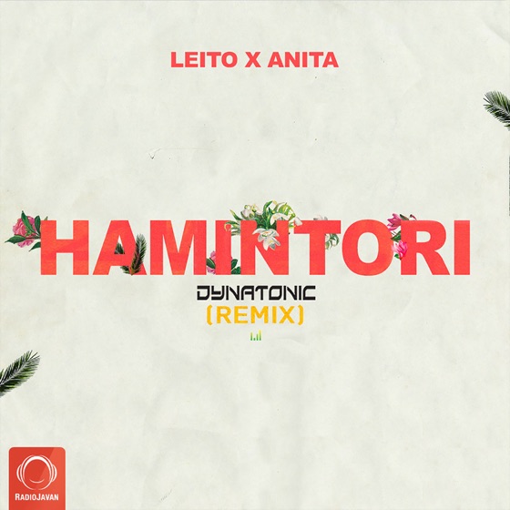 Cover artwork for Hamintori (feat. Anita)