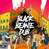 Black Beanie Dub artwork