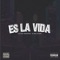 Es la vida (feat. Big Stan) - Cejaz Negraz lyrics