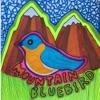 Mountain Bluebird - Single