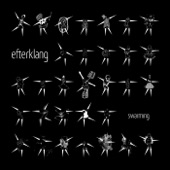 Efterklang - Swarming