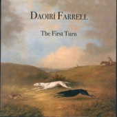 Daoirí Farrell - The Mickey Dam