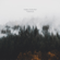 Roots - Andrew Rothschild