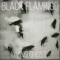 One Last Time - Black Flamingo lyrics