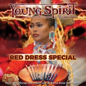 Red Dress Special - Pow-Wow Songs Recorded Live at Santa Rosa Rancheria artwork