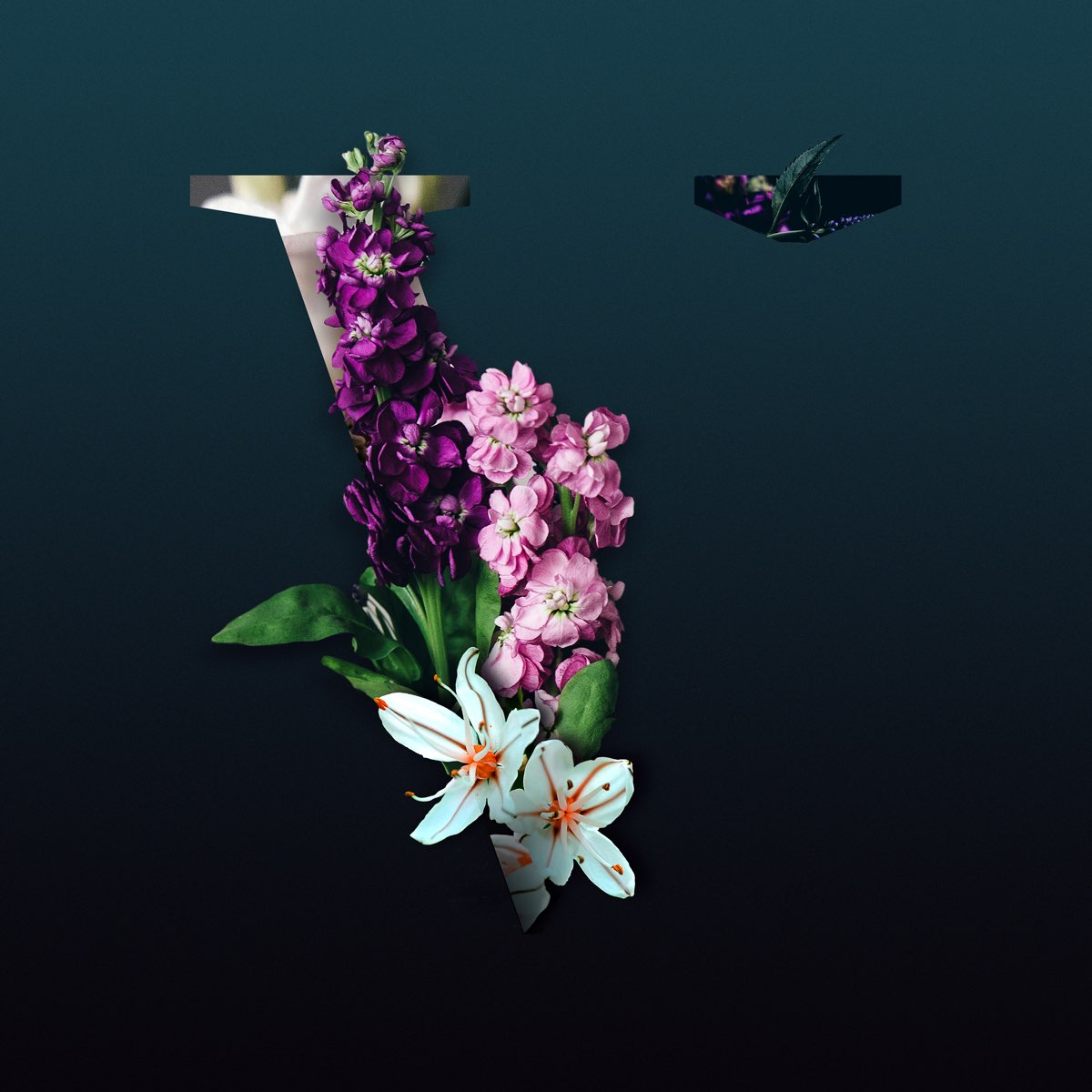 ‎V de Various Artists en Apple Music