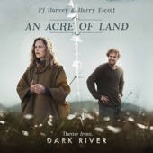 PJ Harvey - An Acre of Land - Edit