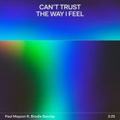 Can't Trust The Way I Feel artwork