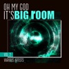 Oh My God It's Big Room, Vol. 2