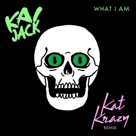 Cover artwork for What I Am