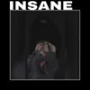 2/INSANE (feat. cadence & tydavid) - Single album lyrics, reviews, download
