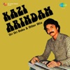 Kazi Arindam & Kazi Aniruddha - Tum Aa Gaye Ho