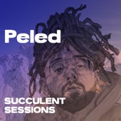 Live at Succulent Sessions - EP artwork