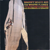 No Faith Required - Snowy White & The White Flames