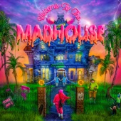 Welcome to the Madhouse artwork