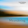 Meandering - Single