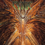 Cynic - Veil of Maya